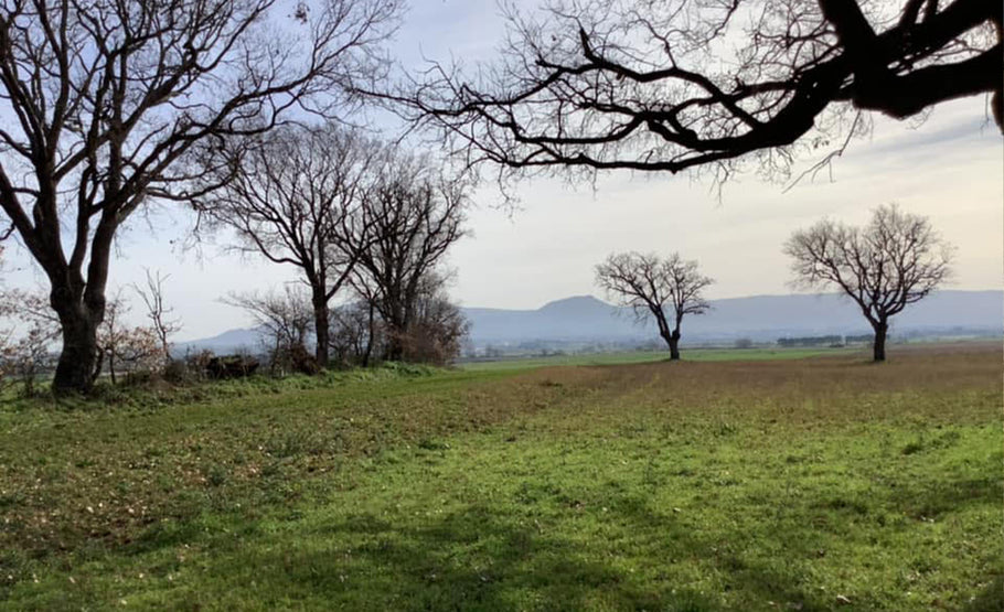 Azienda Agrituristica Venatoria Monte Jugo